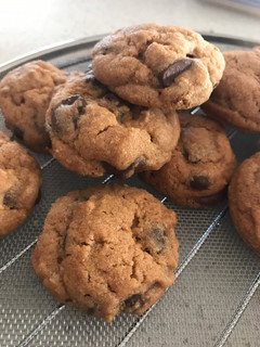 A picture of Rara Cookie.