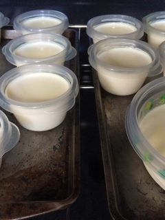 Hình của món Sữa chua hương vị Việt.