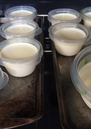 Hình của món Sữa chua hương vị Việt.