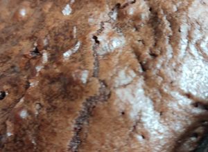 Una foto de Brownies súper chobies 😋