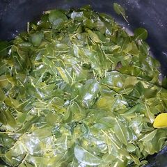 A picture of How to Cook moringa.