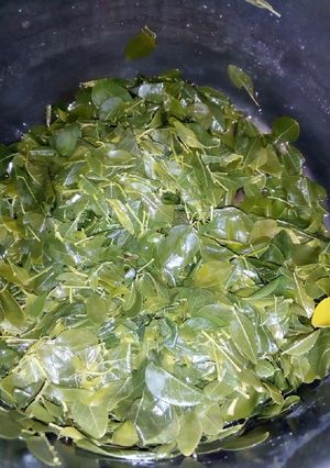A picture of How to Cook moringa.