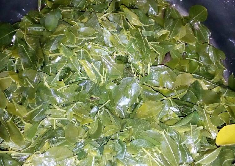 Recipe of Award-winning How to Cook moringa