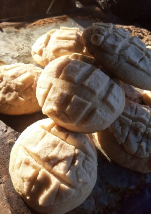 Una foto de Conchas