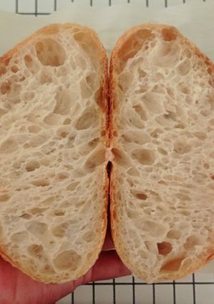 Foto resep Basic Sourdough Bread 90%