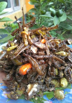 Foto resep Teri oseng cabe hijau