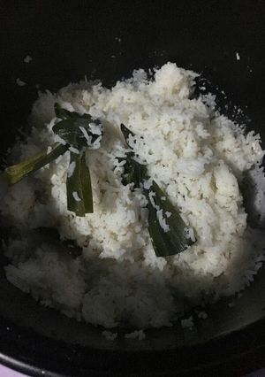 Foto resep Nasi Uduk ricecooker