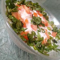 A picture of Mix vegetables raita.