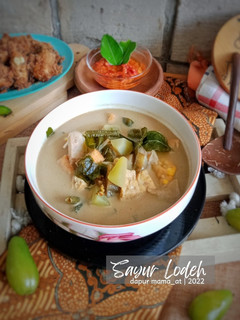 Foto resep Sayur Lodeh