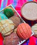 Conchas de fantasía