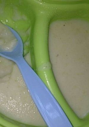 Foto resep Bubur Nasi + Kaldu Ceker + Labu Siem MPASI