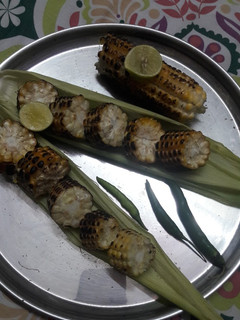 A picture of Roasted corn cob.