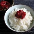 Salty Rhubarb Paste