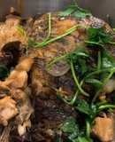 Cá mú chưng tương