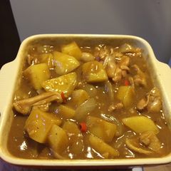 A picture of Japanese curry chicken.