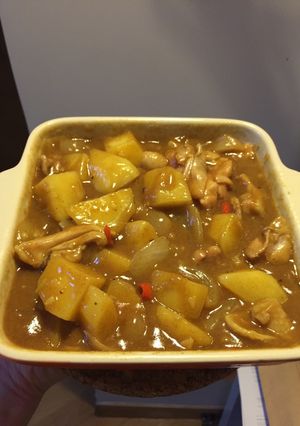 A picture of Japanese curry chicken.