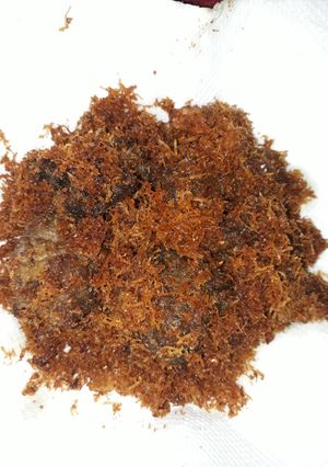 Foto resep Gepuk/dendeng kremes#FestivalResepAsia#Indonesia#DagingSapi