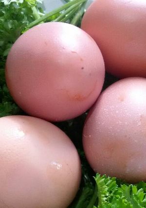 Hình của món Luộc trứng đúng cách.