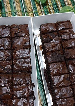 Foto resep Fudgy Brownies Shiny Crust