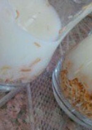 صورة لوصفة كاسات الكنافة