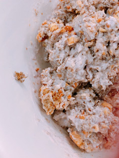 A picture of Fake oatmeal bowl.