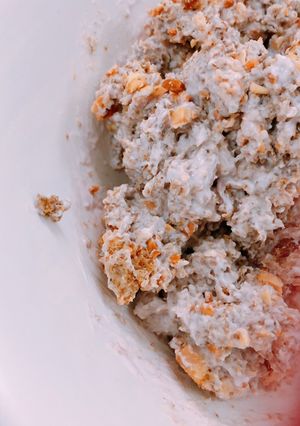 A picture of Fake oatmeal bowl.