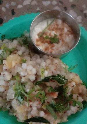 સાબુદાણાની ખીચડી (Sabudana Khichdi Recipe In Gujarati) રેસીપી મુખ્ય ફોટો