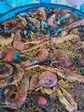Paella familiar