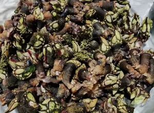 Foto de Percebes cozidos