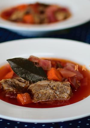 羅宋湯 的食譜成品照片