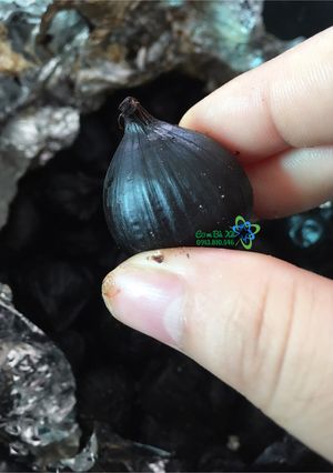 Hình của món Tỏi đen homemade.