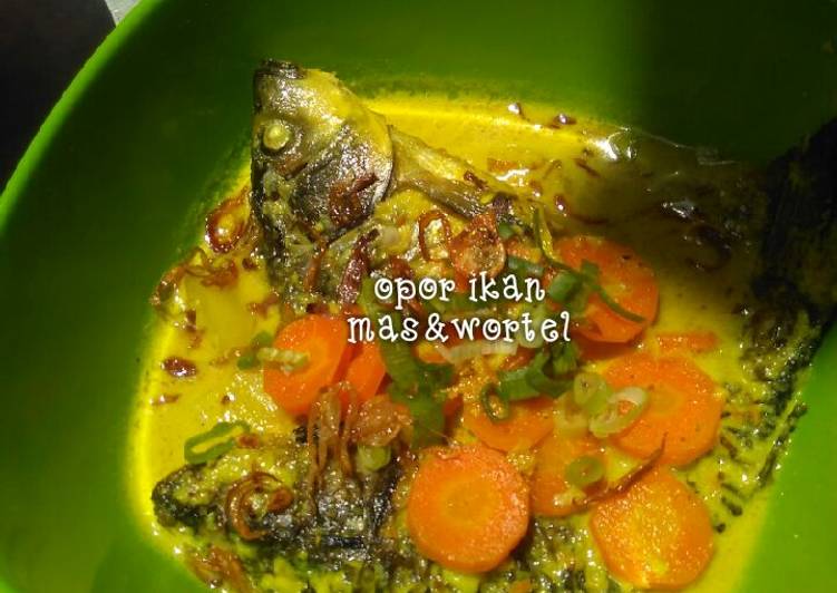 Cara Gampang meracik Opor ikan mas Lezat