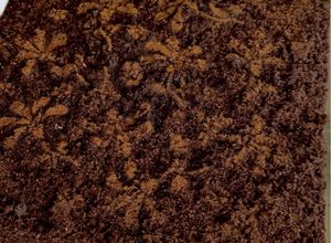Foto di Sbriciolata di Kinder Cioccolato al Latte