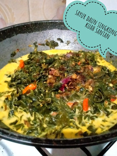Foto resep 106)sayur daun singkong teri kuah santan