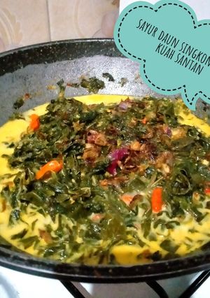 Foto resep 106)sayur daun singkong teri kuah santan