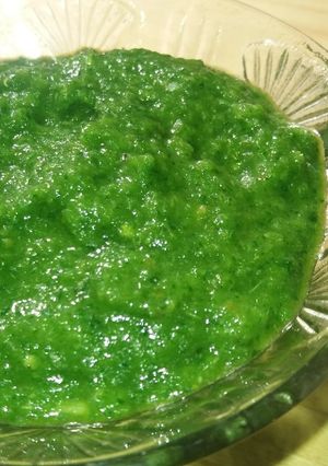A picture of Spicy green chilli chutney.