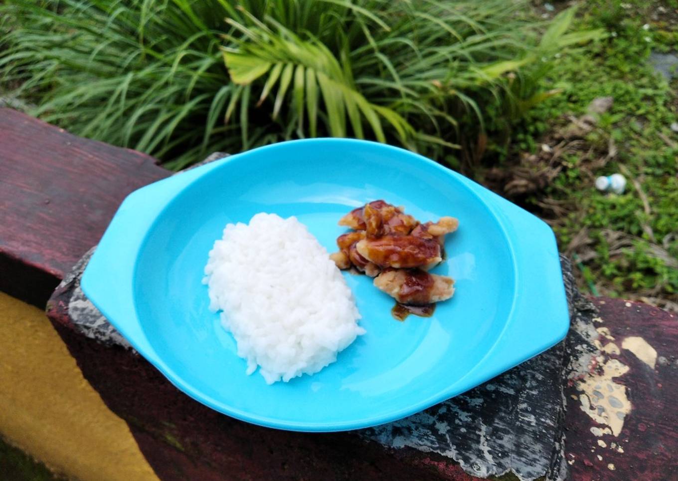 Nasi tim & salmon tepung kecap // mpasi 9 bulan
