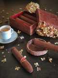 Sigari di cioccolato