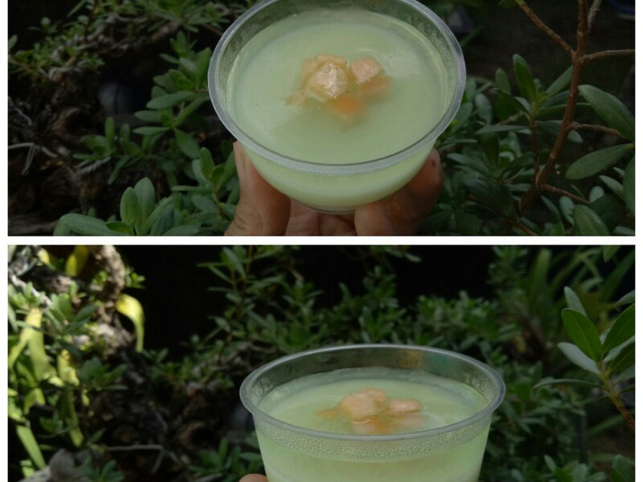 Cara Membuat Puding susu melon (2 lapis) Enak Terbaru