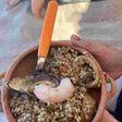 Mí cazuela de mariscos
