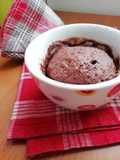 Torta nella tazza (microwave mug cake)