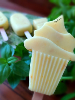 عکسی از دستور بستنی چوبی بدون ثعلب 🍦