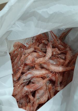 Una foto de Quisquilla hervida
