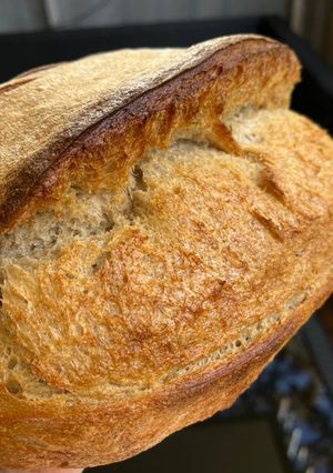 A picture of Sourdough.