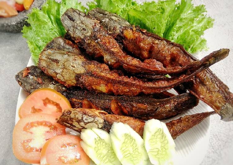 Bahan Lele goreng gurih | Cara Masak Lele goreng gurih Yang Mudah Dan Praktis