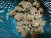 Gambar bakso ikan dencis