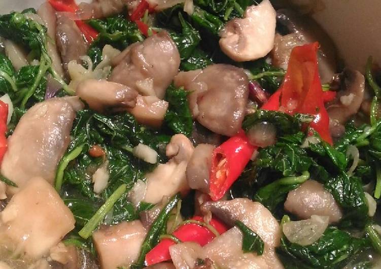 Resep Tumis Bayam Jamur yang Bikin Ngiler