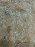 Sheer khorma