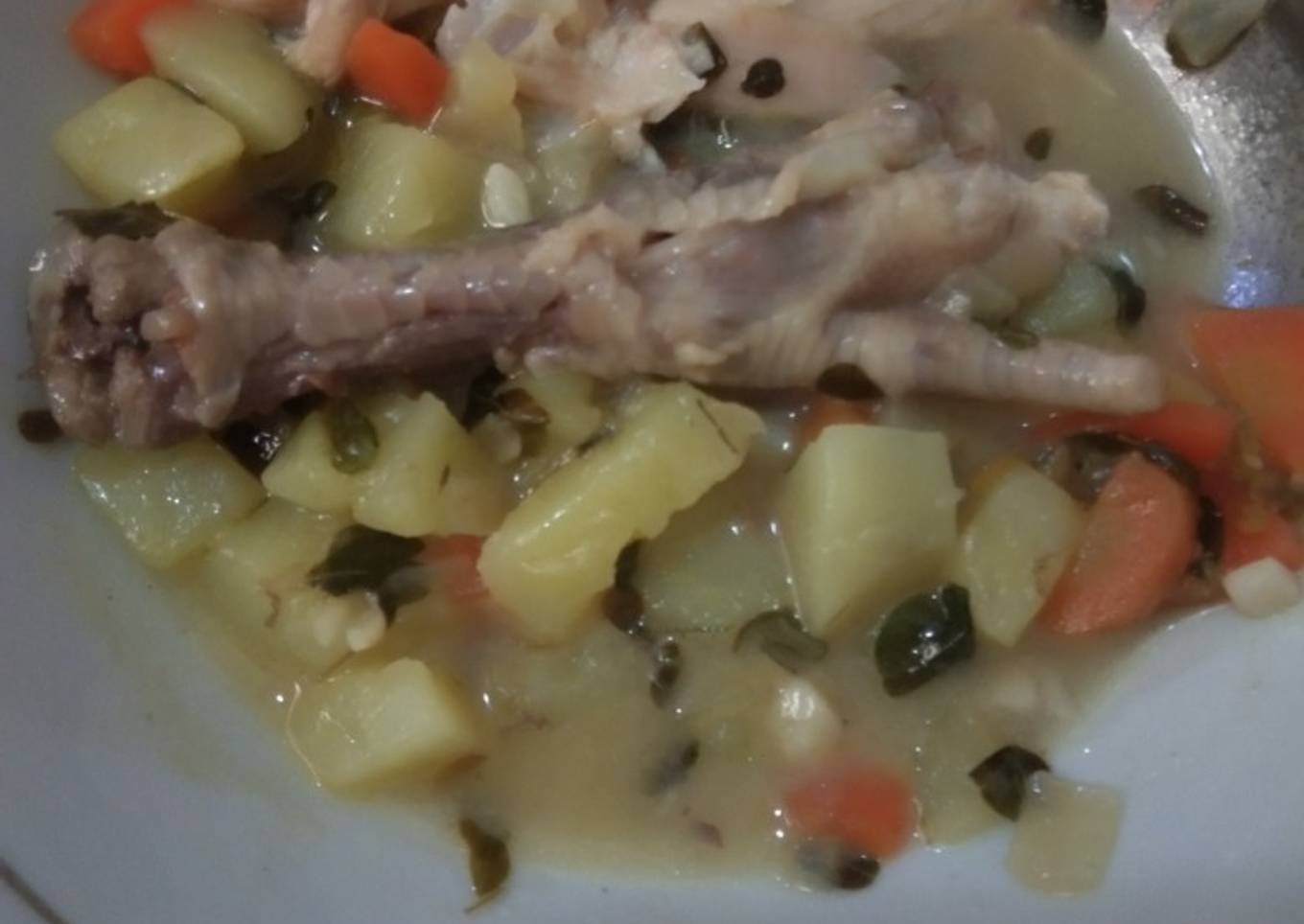 Sup ceker ayam kampung mpasi 1y+