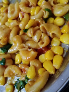 A picture of Macaroni.